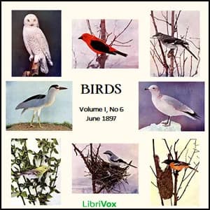 Birds, Vol. I, No 6, June 1897