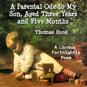 Parental Ode to My Son, Aged Three Years and Five Months