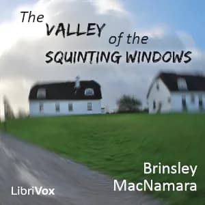 Valley of the Squinting Windows