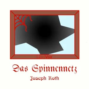 Spinnennetz