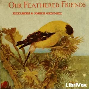 Our Feathered Friends