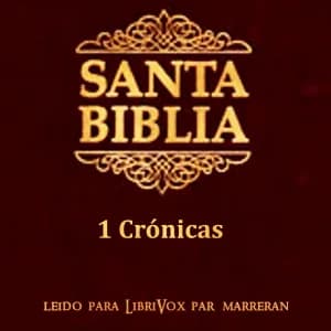 Bible (Reina Valera) 13: 1 Crónicas