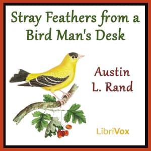Stray Feathers From a Bird Man's Desk