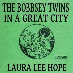 Bobbsey Twins in a Great City