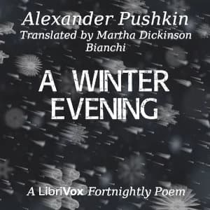 Winter Evening
