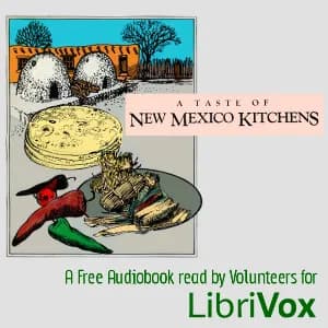 Taste of New Mexico Kitchens