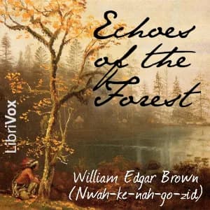 Echoes of the Forest