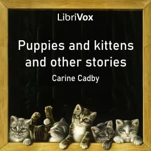 Puppies and kittens and other stories