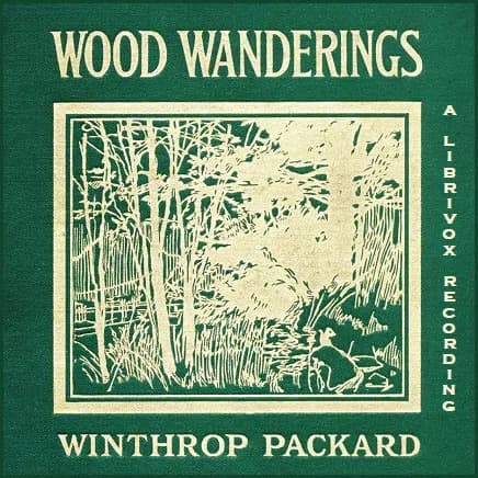 Wood Wanderings
