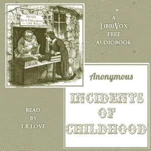 Incidents of Childhood