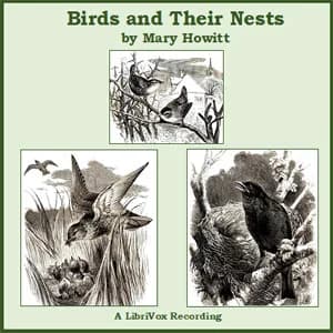 Birds and Their Nests