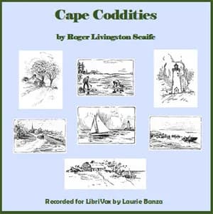 Cape Coddities