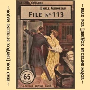 File No. 113