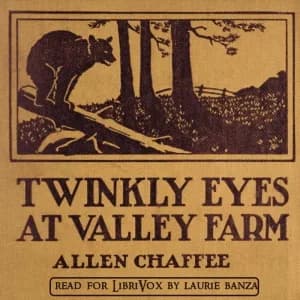 Twinkly Eyes at Valley Farm