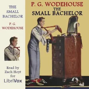 Small Bachelor