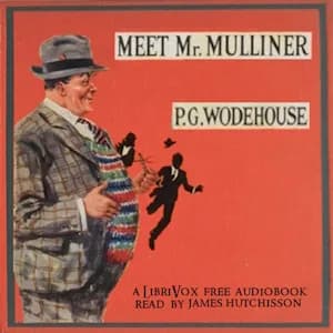 Meet Mr. Mulliner