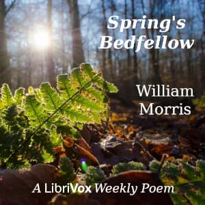 Spring's Bedfellow