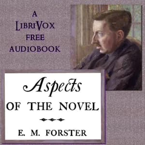 Aspects of the Novel