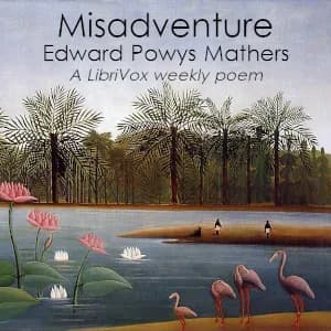 Misadventure