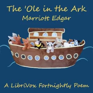 'Ole In The Ark