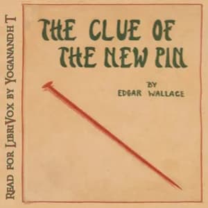 The Clue of the New Pin