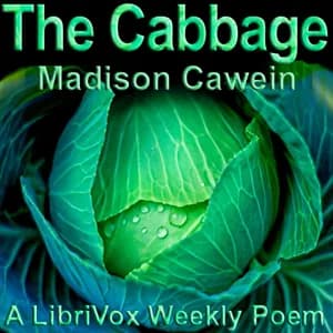 Cabbage