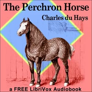 Percheron horse