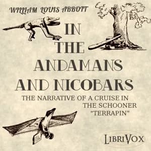 In the Andamans and Nicobars