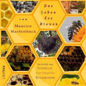 Leben der Bienen