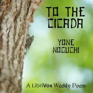 To The Cicada