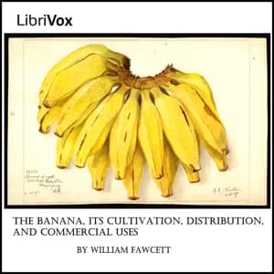 Banana, Its Cultivation, Distribution and Commercial Uses