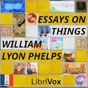 Essays on Things