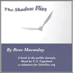 Shadow Flies