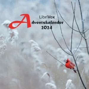 Adventskalender 2024