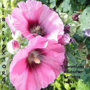 Sammlung deutscher Gedichte 043