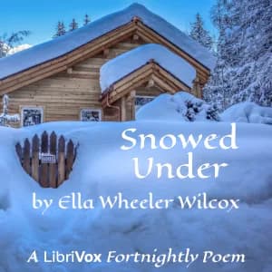 Snowed Under