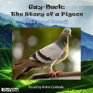 Gay-Neck: The Story of a Pigeon