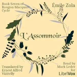 L'Assommoir, Book Seven of Rougon-Macquart Cycle