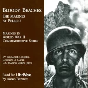 Bloody Beaches: The Marines at Peleliu
