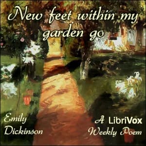 New feet within my garden go
