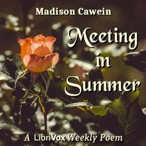 Meeting In Summer