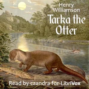 Tarka the Otter