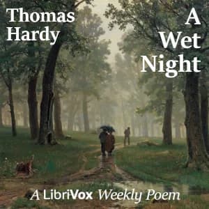Wet Night