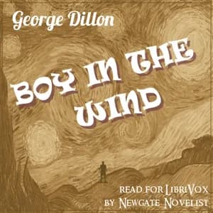 Boy in the Wind