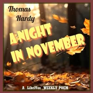 Night in November