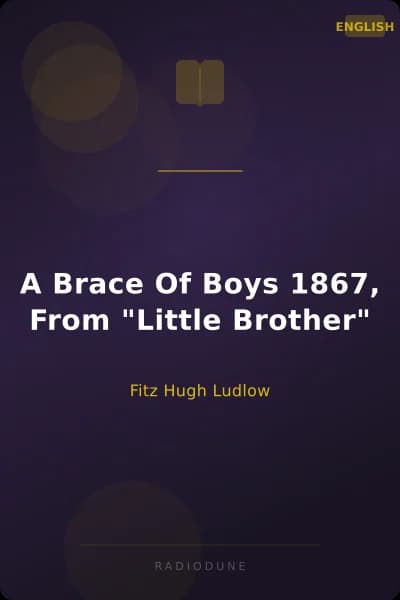 A Brace Of Boys 1867, From "Little Brother"