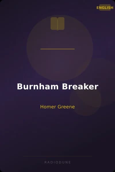 Burnham Breaker
