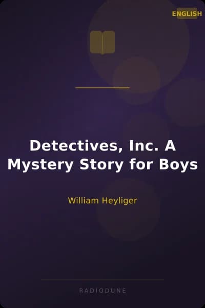 Detectives, Inc. A Mystery Story for Boys