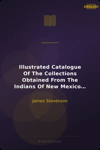Illustrated Catalogue Of The Collections Obtained From The Indians Of New Mexico And Arizona In 1879 Second Annual Report of the Bureau of Ethnology to the Secretary of the Smithsonian Institution, 1880-81, Government Printing Office, Washington, 1883, pages 307-428