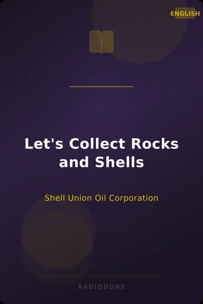 Let's Collect Rocks and Shells